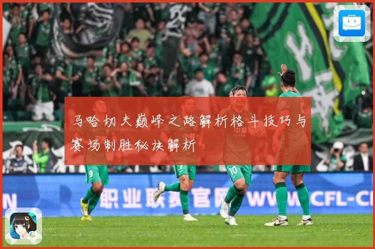马哈切夫巅峰之路解析格斗技巧与赛场制胜秘诀解析