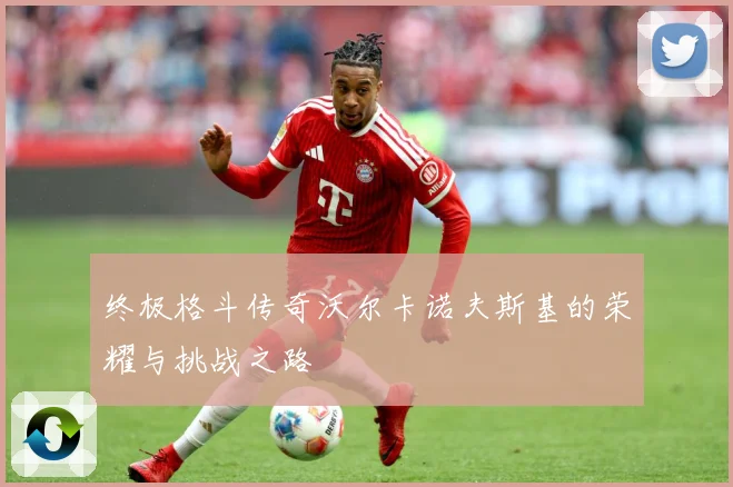 终极格斗传奇沃尔卡诺夫斯基的荣耀与挑战之路