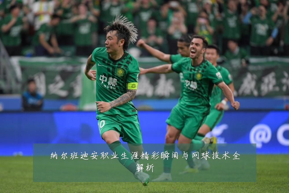 纳尔班迪安职业生涯精彩瞬间与网球技术全解析